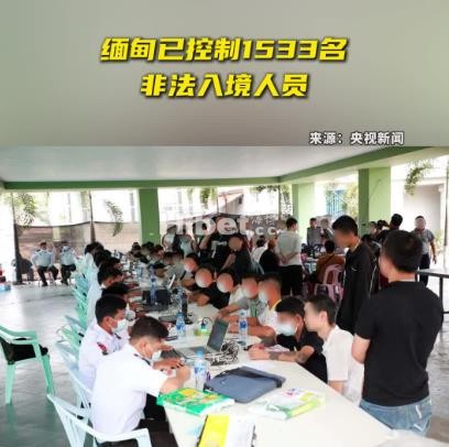 d1.jpg