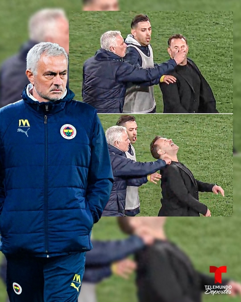 d1.jpg